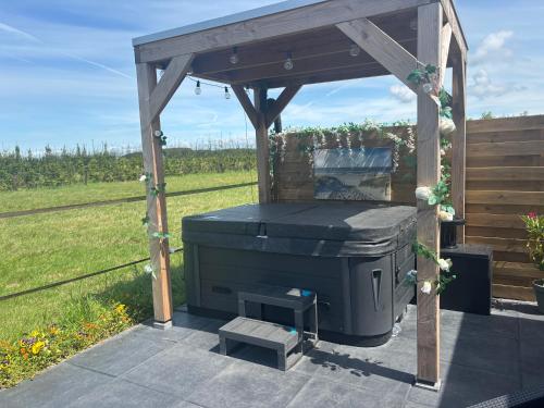 a gazebo with a grill in a field at vakantiehuisje DE WEELEN met Jacuzzi Huwelijks topkeuze! in Lutjebroek