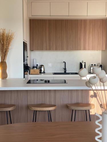 Appartement de standing, ouest de Montpellier, grand roof top, parking inclus