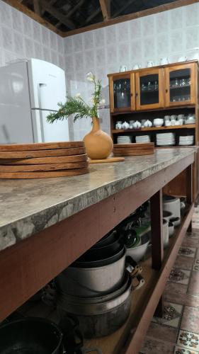 a kitchen counter with a vase on top of it at Villa Toca da Toca Lumiar in Nova Friburgo