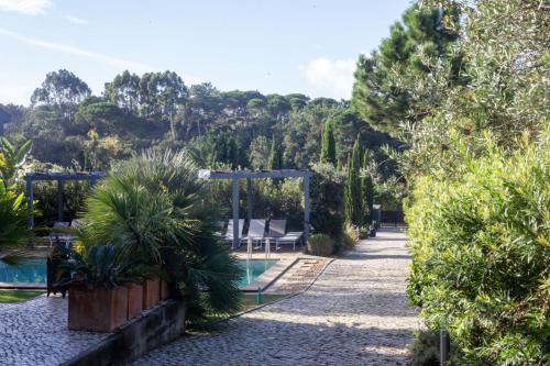 a garden with a pool and some plants and trees at Casa na Praia do Meco in Sesimbra