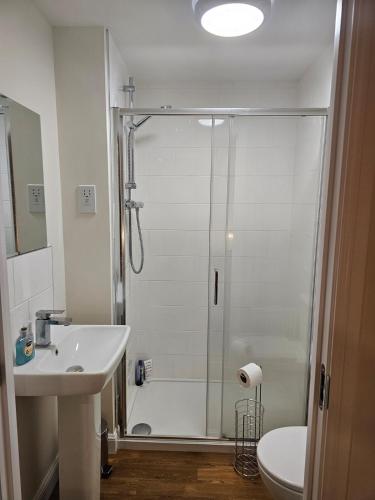 a bathroom with a shower with a sink and a toilet at City and Loch Ness Blend in Inverness