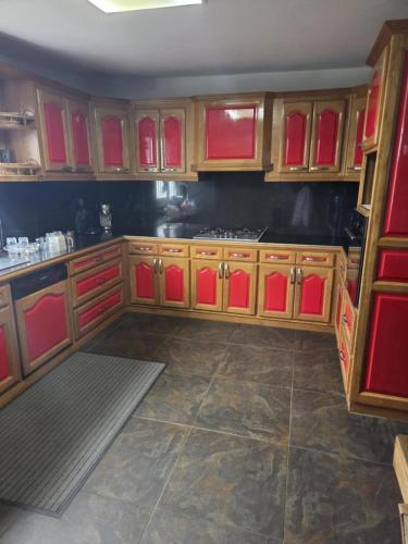 a kitchen with wooden cabinets and red doors at La Villa Des Cocos in Saint-Louis
