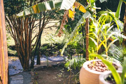 a garden with a bench and a bunch of plants at Sítio Passarim in São Francisco Xavier