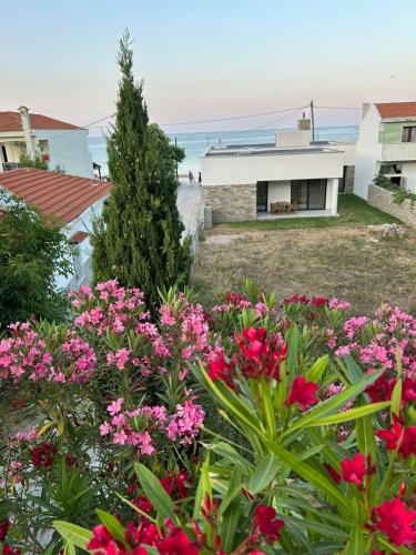 a house with pink flowers in front of the ocean at House Thomi in Skala Potamias
