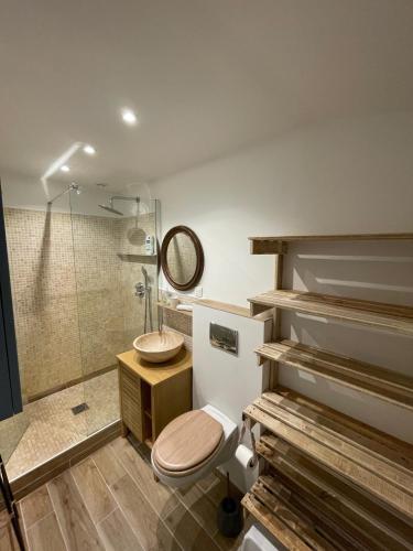 une salle de bain avec toilettes, lavabo et douche dans l'établissement Le Mas de Cocody, au Plan-de-la-Tour