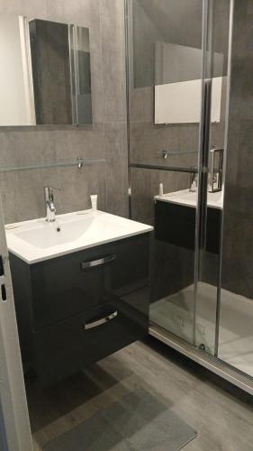 une salle de bain avec un lavabo et une douche dans l'établissement Appartement avec 2 chambres Morlaix, à Morlaix