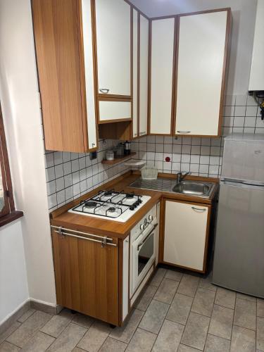 a small kitchen with a stove and a sink at La Lucanella in centro a Rotonda in Rotonda