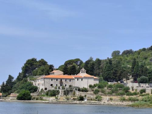a large building on a hill next to the water at Apartment Rab in Palit