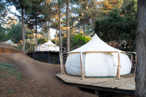 a white tent on a wooden platform in a forest at Glamping de Matanzas in Matanzas