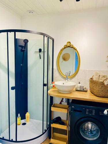a bathroom with a shower and a sink and a washing machine at Comme une Douce Parenthèse in Châteaubriant