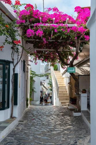 a street with pink flowers hanging from a building at Mary's House 2 in Skiros
