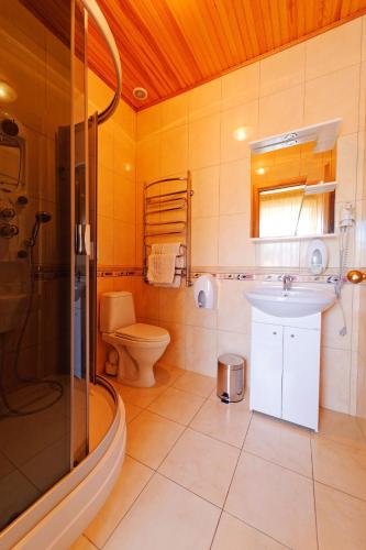 a bathroom with a toilet and a sink and a shower at Vila Levita in Palanga