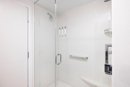 a shower with a glass door in a bathroom at Fairfield Inn & Suites – Buffalo Airport in Cheektowaga