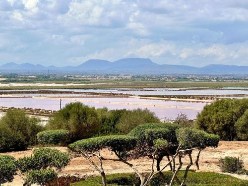 a view of a field with water and trees at Casa Vidal, Es Trenc, Campos in Campos