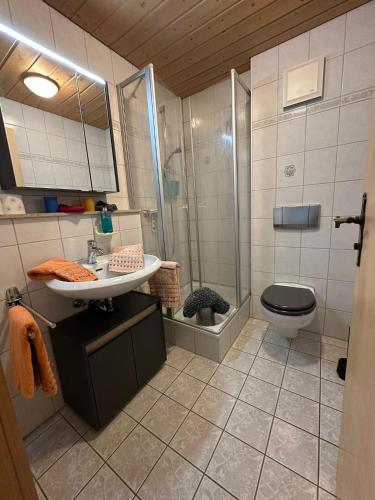 a bathroom with a shower and a sink and a toilet at Landhaus Brigitte in Obermaiselstein