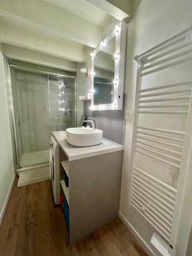une salle de bain avec un lavabo et une douche dans l'établissement Côté Renaissance - Hypercentre Blois, à Blois