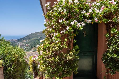 Foto Casetta Rosa 4