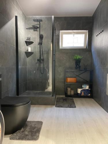 a bathroom with a shower and a toilet at Квартира в историческом центре Одессы in Odesa
