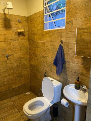 a bathroom with a toilet and a sink at Rancho Royer in Araguari