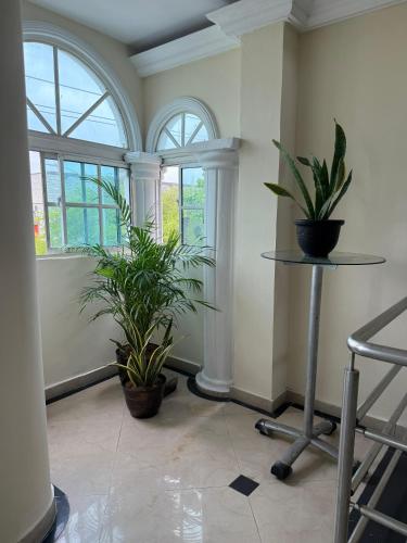 a room with two plants and a table and windows at Hotel San Francisco Inn in Barranquilla