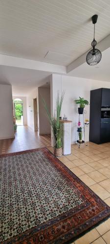 - un salon avec un tapis à l'étage dans l'établissement Airial landais, à Sanguinet