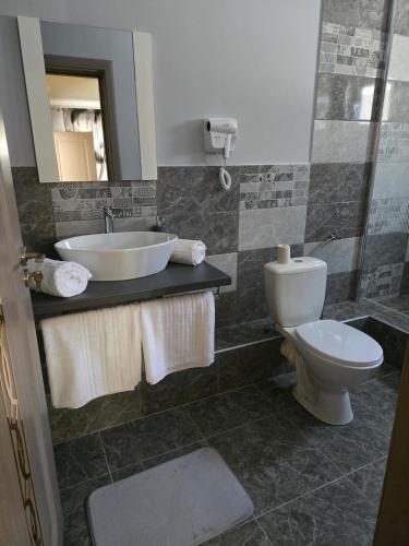 a bathroom with a sink and a toilet at Casa Deluxe in Slănic-Moldova