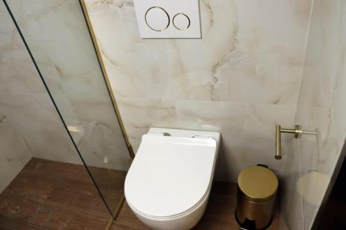 a bathroom with a toilet in a shower stall at Superior Petit Studio in Mytilini