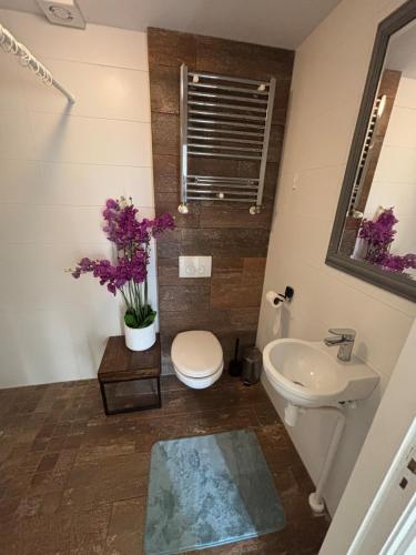 a bathroom with a toilet and a sink at Casa Luz & Luna in Akersloot