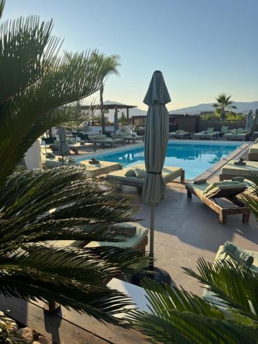 une piscine avec un parasol et des chaises longues dans l'établissement Appartements PORTICCIO CENTRE, à Porticcio