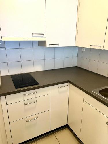 a kitchen with white cabinets and a sink at Downtown Flats, Lake Lucerne in Luzern