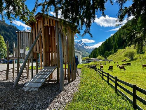 a small wooden building in a field with cows at Cosy studio apartment in Splügen in Splügen