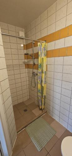 a shower with a shower curtain in a bathroom at Viršutinė 9 1 kambarys in Klaipėda