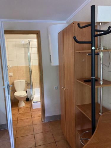 a small bathroom with a toilet and a shower at Rusałka Domki Rodzinne in Rudno