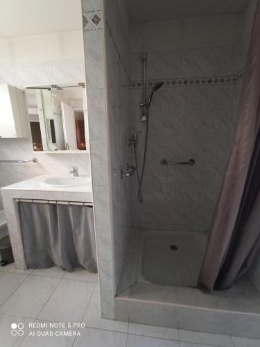 une salle de bain avec douche et lavabo dans l'établissement Appartement calme et indépendant à proximité de Toulouse, à Seysses
