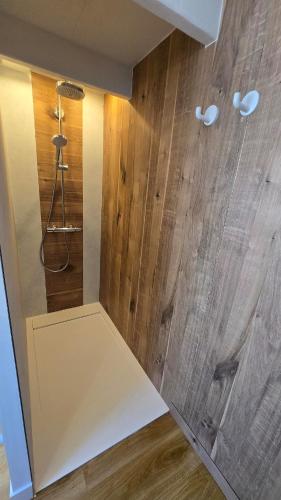 a shower in a room with a wooden wall at Le Gîte de Clément avec Spa privatif in Courset