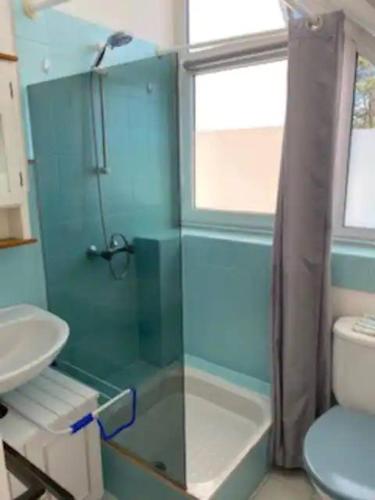 une salle de bain avec une douche en verre et des toilettes dans l'établissement Confort équipés neuf 2 pas plage, à Carnac