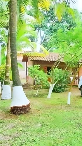 a resort with palm trees and a house at Cabaña desde 4 huéspedes 560 metros cuadrados con Naturaleza a 300 metros mar in Necoclí