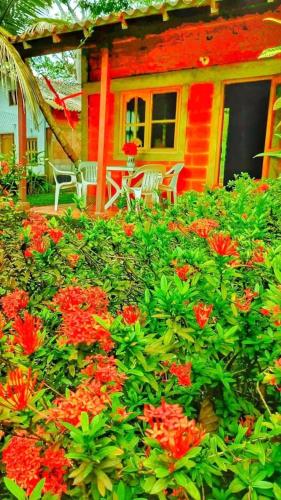a garden with red flowers in front of a house at Cabaña desde 4 huéspedes 560 metros cuadrados con Naturaleza a 300 metros mar in Necoclí