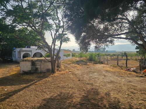 a dirt road in front of a house with trees at Maison rurale à 800 m de plage in Restinga Smir