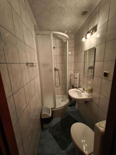 a bathroom with a sink and a shower and a toilet at Noclegi pod Witowem in Niedźwiedź