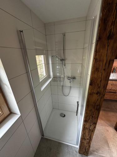 a shower with a glass door in a bathroom at Haus Bergliebe in Winkl Reichenau