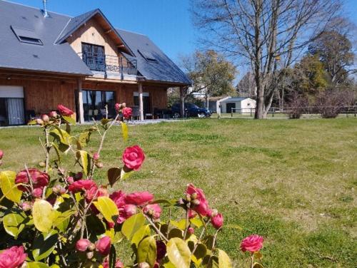 a house with pink roses in front of a yard at Casa Adam's in Saint-Jean-le-Thomas