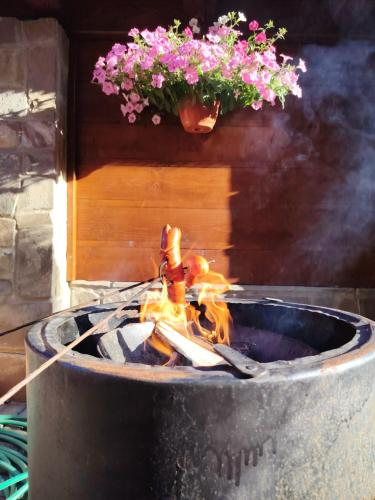 a fire hydrant with a flower pot on top of it at Goralturist in Ždiar