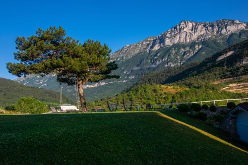 a field with a tree and mountains in the background at Hotel Lilla' in Terlago