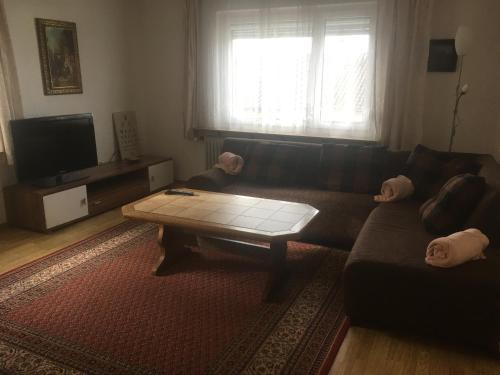 Una sala de estar con un sofá y una mesa de café. en Ferienwohnung Dieterle, en Wutöschingen