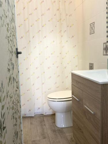 a bathroom with a toilet and a sink at Casa Faican in Agaete