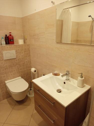 a bathroom with a sink and a toilet and a mirror at Husarska Swinemünde in Świnoujście