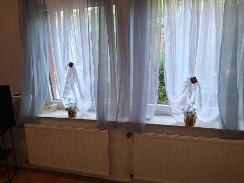 a couple of windows with white curtains and flowers at Apartment B&J Cochem in Cochem