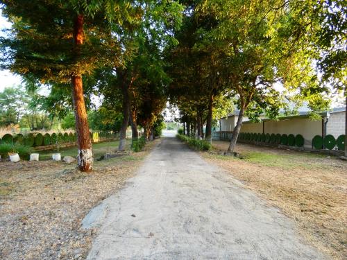 a dirt road with trees on either side at Hotel Rural Camino Medulas in Ponferrada