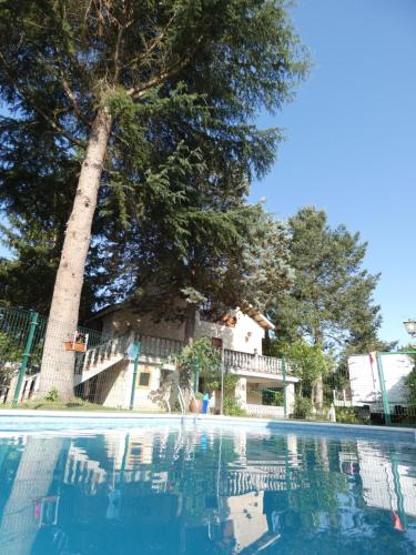 a swimming pool with a tree in the background at Hotel Rural Camino Medulas in Ponferrada
